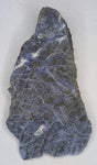"Stability" Sodalite Shamanic Crystal Slab