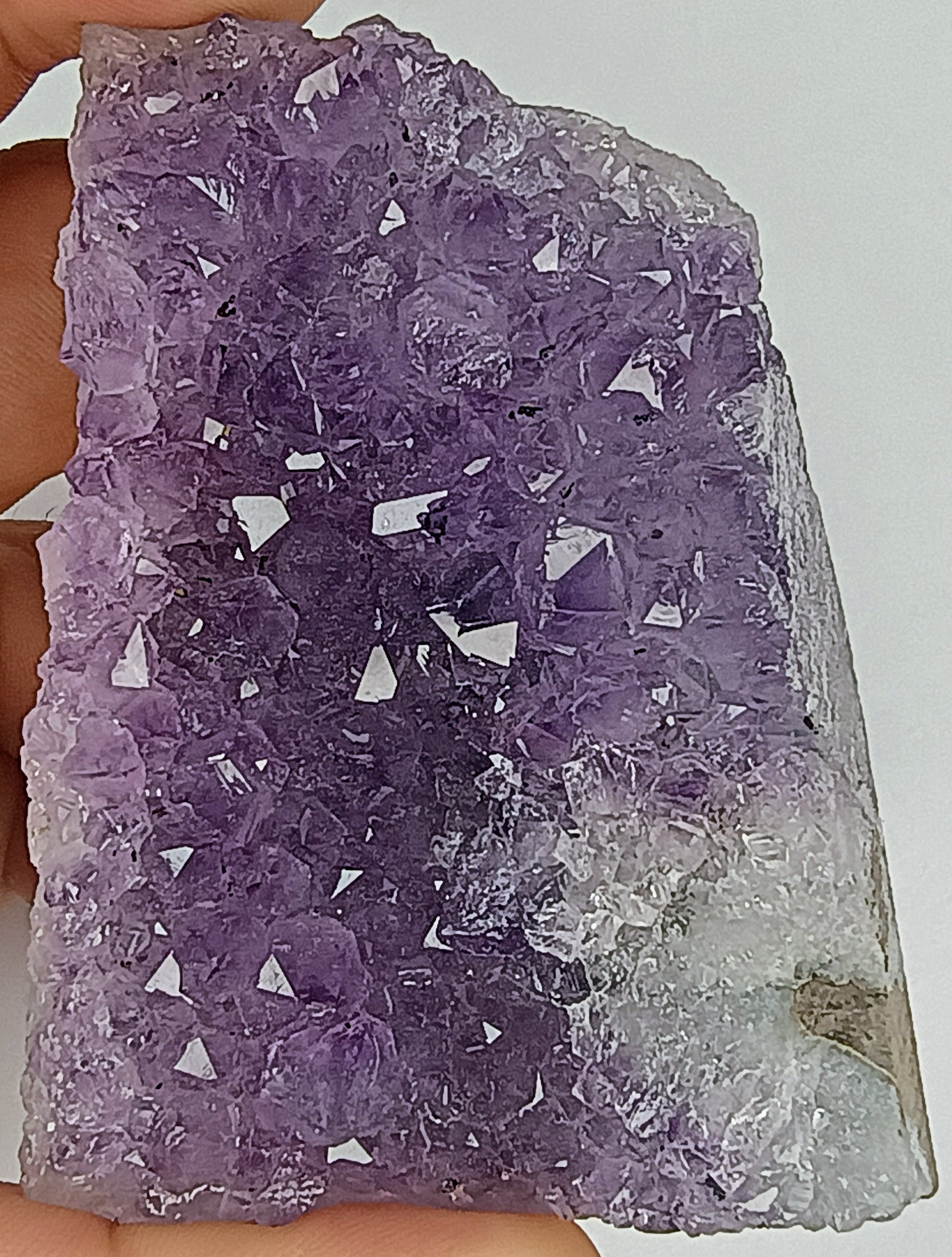 Violet Amethyst.