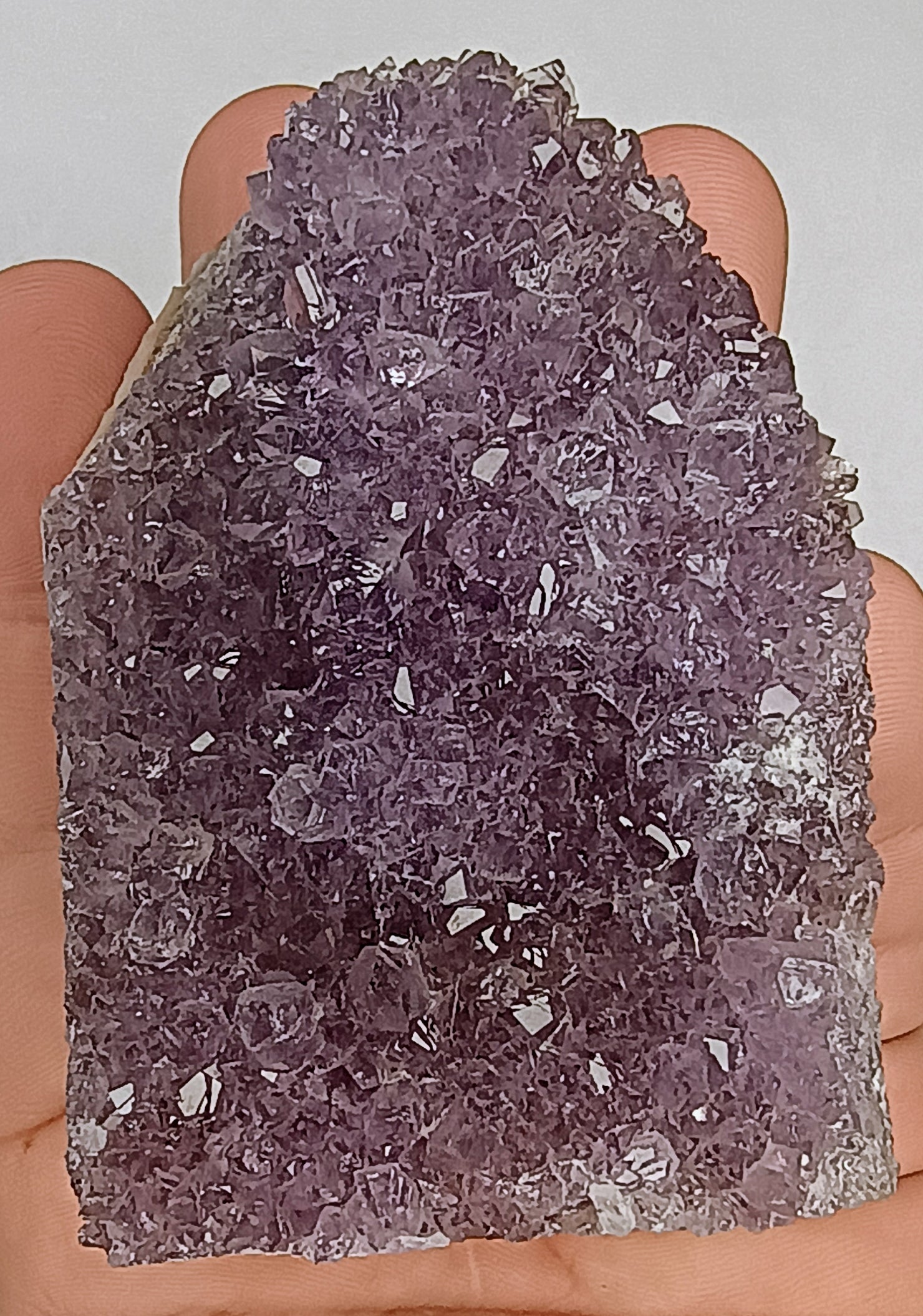Violet Amethyst.