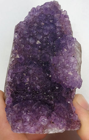Violet Amethyst.