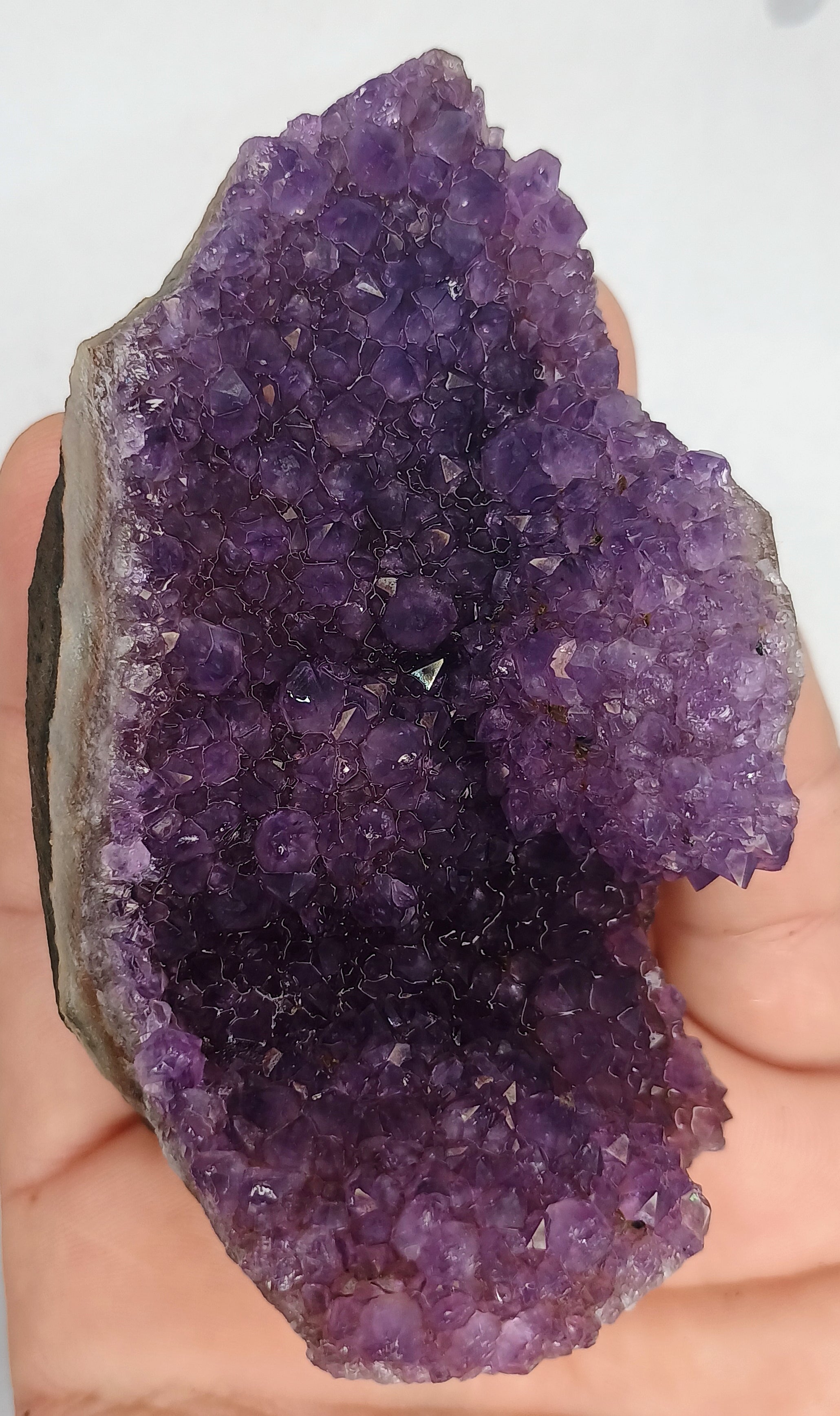 Violet Amethyst.