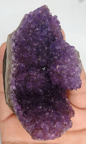 Violet Amethyst.