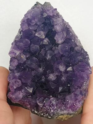 Violet Amethyst.