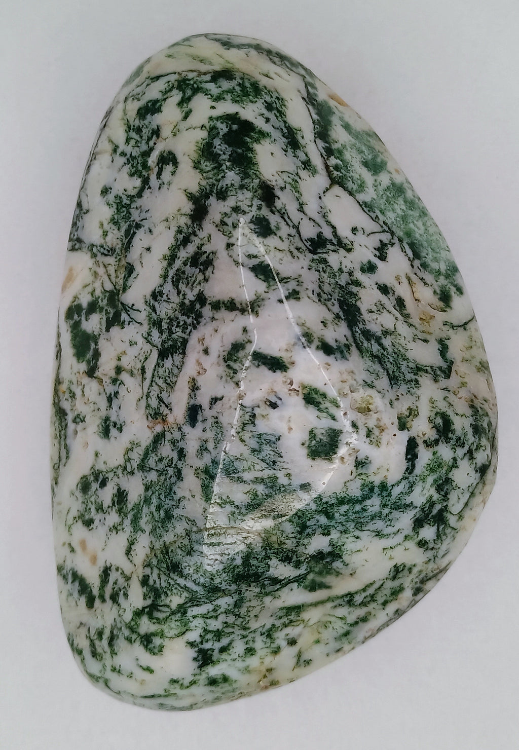 Tree Jasper