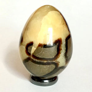 Body, Mind, and Soul Realignment - Septarian Egg