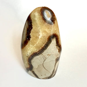 Body, Mind, and Soul Realignment - Septarian Medium Monolith
