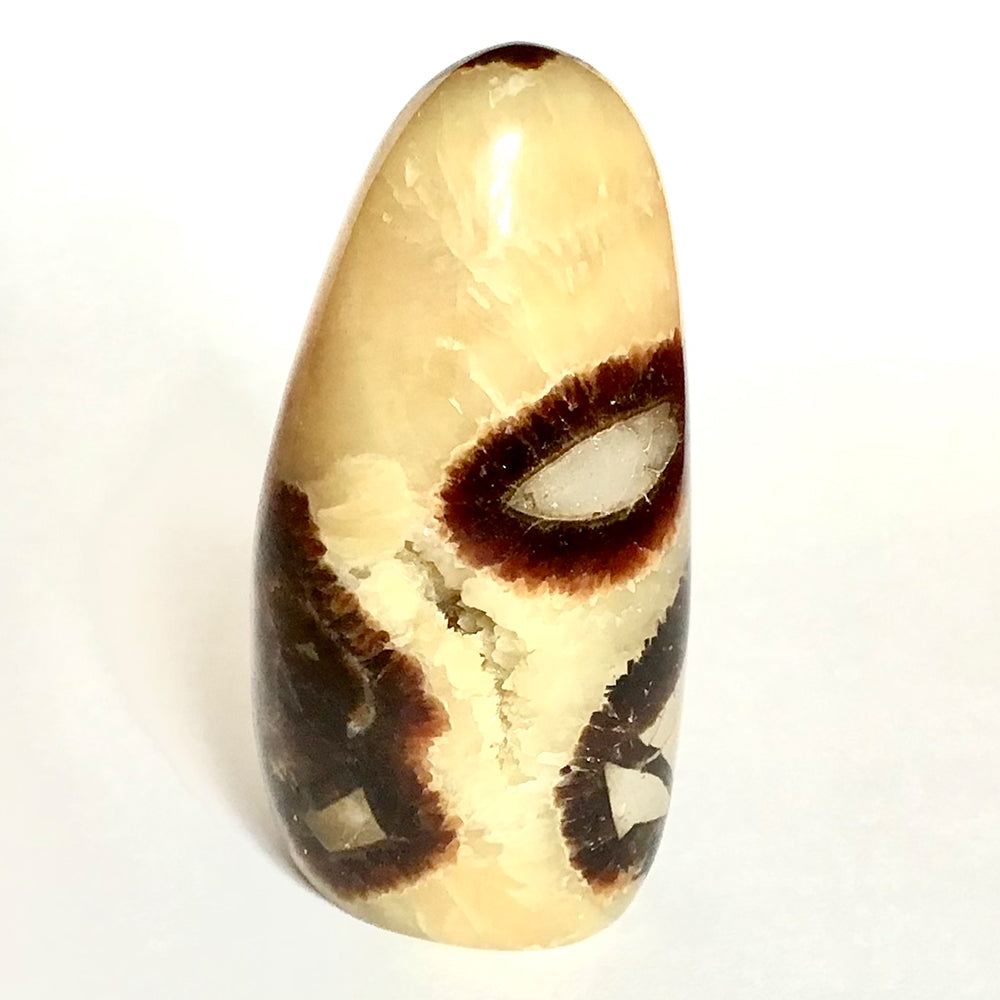 Body, Mind, and Soul Realignment - Septarian Small Monolith